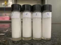 Sau 5 phút Sau 10 phút Sau 15 phút Sau 20 phút Sau 25 phút Hình 3 14 Các mẫu bọt tạo 3