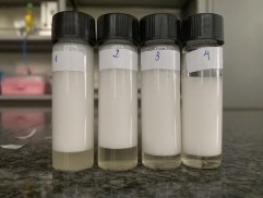 Sau 10 phút Sau 15 phút Sau 20 phút Sau 25 phút Hình 3 14 Các mẫu bọt tạo thành 4