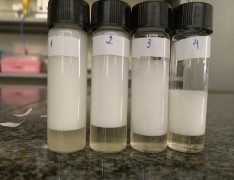 Sau 15 phút Sau 20 phút Sau 25 phút Hình 3 14 Các mẫu bọt tạo thành bằng k thuật 5