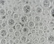 5 phút 10 phút 20 phút Hình 3 15 Sự thay đổi hình thái bong bóng bọt theo thời 9