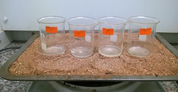 Vô cơ mẫu lá chè trên bếp cách cát Mẫu lá chè sau khi vô cơ hóa Lớp muối ẩm 5