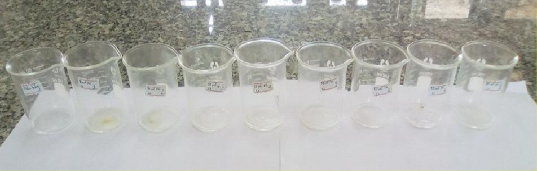 Mẫu lá chè sau khi vô cơ hóa Lớp muối ẩm thu được khi vô cơ hóa mẫu lá chè 6