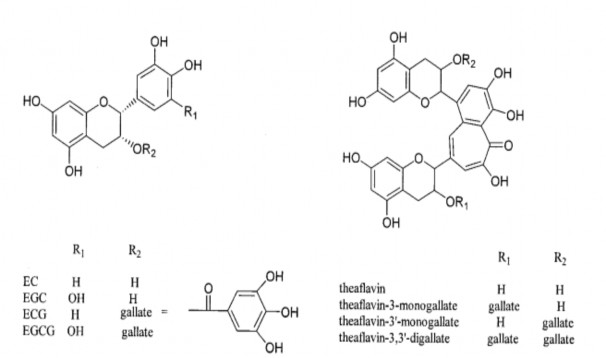 C Cabrera và cộng sự đã dùng phương pháp sắc ký lỏng hiệu năng cao HPLC để 1