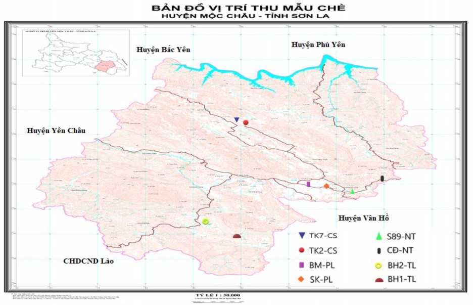 Hình 2 3 Bản đồ thu mẫu chè tại huyện Mộc Châu 41 Tại huyện Bắc Yên cây 7
