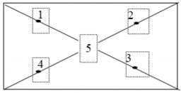 2 2 2 2 Sơ chế mẫu chè Lá chè được rửa sạch 3 lần bằng nước máy và rửa 2