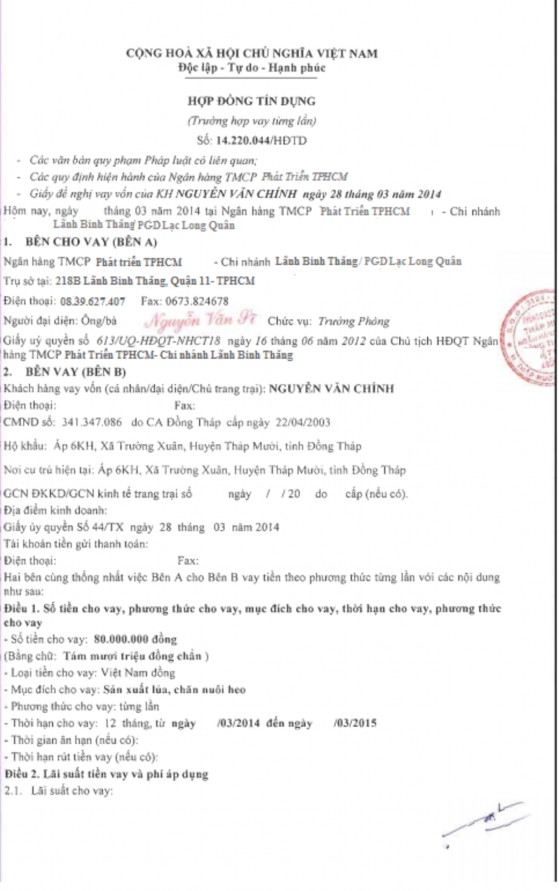 Phân tích hoạt động cho vay tại Ngân hàng TMCP Phát triển TP HCM – PGD Lạc Long Quân 11 6