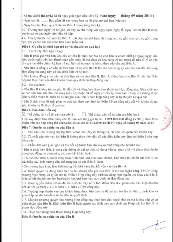 Phân tích hoạt động cho vay tại Ngân hàng TMCP Phát triển TP HCM – PGD Lạc Long Quân 11 8