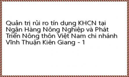 Quản trị rủi ro tín dụng KHCN tại Ngân Hàng Nông Nghiệp và Phát Triển Nông thôn Việt Nam chi nhánh Vĩnh Thuận Kiên Giang - 1