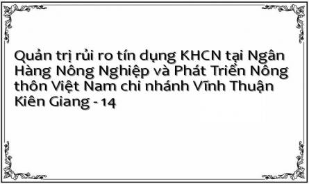 Quản trị rủi ro tín dụng KHCN tại Ngân Hàng Nông Nghiệp và Phát Triển Nông thôn Việt Nam chi nhánh Vĩnh Thuận Kiên Giang - 14