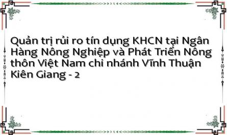 Quản trị rủi ro tín dụng KHCN tại Ngân Hàng Nông Nghiệp và Phát Triển Nông thôn Việt Nam chi nhánh Vĩnh Thuận Kiên Giang - 2
