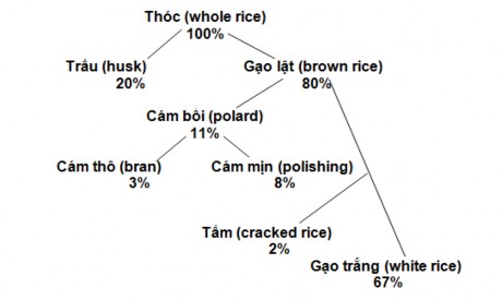 Hình 2 1 Tỷ lệ khi xay xát thóc Nguồn Foulkes 1998 Thóc và phụ phẩm của ngành 1