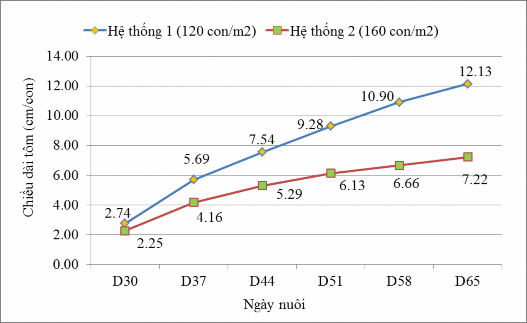Hình 4 1 Chiều dài của tôm nuôi trong các giai đoạn Chiều dài của tôm nuôi ơ ̉ 1