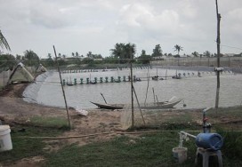 a b c d e e f g h k l a Ao nuôi thực nghiệm b Hệ thống quạt nước c Quạt nước 1