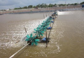 c d e e f g h k l a Ao nuôi thực nghiệm b Hệ thống quạt nước c Quạt nước d 3