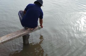 e e f g h k l a Ao nuôi thực nghiệm b Hệ thống quạt nước c Quạt nước d Moter 6