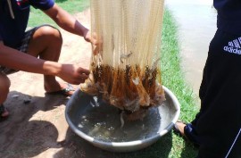 g h k l a Ao nuôi thực nghiệm b Hệ thống quạt nước c Quạt nước d Moter cấp 7