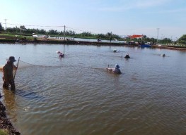 k l a Ao nuôi thực nghiệm b Hệ thống quạt nước c Quạt nước d Moter cấp 9