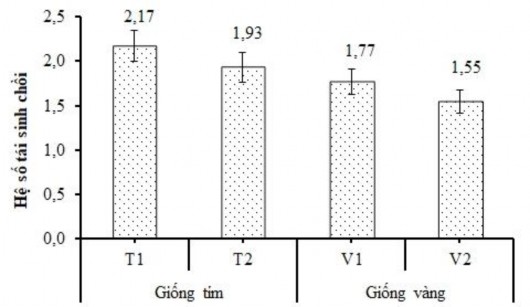 Hình 3 35 Biểu đồ hệ số tái sinh chồi thông qua nuôi cấy mô phân sinh đỉnh 3