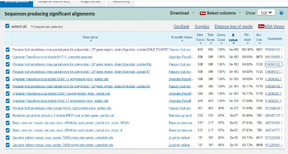 Hình 3 36 Kết quả đoạn DNA xác định rò trình tự được tiến hành BLAST trên 4
