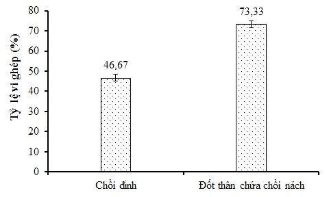 Hình 3 42 Biểu đồ tỷ lệ vi ghép từ các loại cành ghép sau 4 tuần nuôi cấy 4