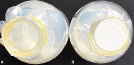 H nh 2 2 Thiết kế bình nuôi cấy không thoáng khí a và thoáng khí b 2 3 1 11 1