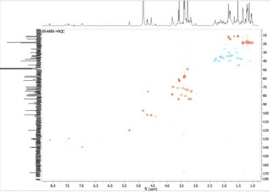 2 5 Phổ HMBC của hợp chất GS2 2 6 Phổ COSY của hợp chất GS2 2 7 Phổ ROESY 31