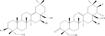 Hình 1 3 Cấu trúc các hợp chất khung oleanane từ chi Gymnema Triterpennoid khung 1