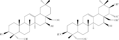 Hình 1 3 Cấu trúc các hợp chất khung oleanane từ chi Gymnema Triterpennoid khung 16