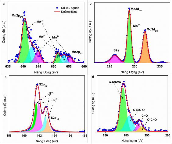 Hình 3 41 Phổ XPS của mẫu vật liệu 3 Mn MoS 2 rGO với sự có mặt của các 9