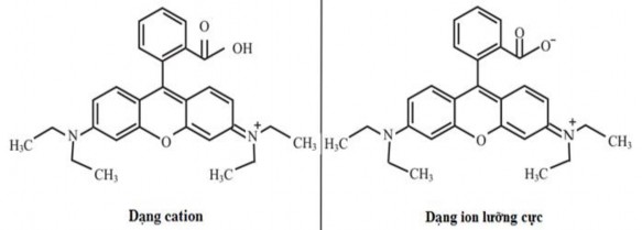 Hình 3 48 Hai dạng tồn tại của RhB trong dung dịch nước Vì hằng số phân ly 4