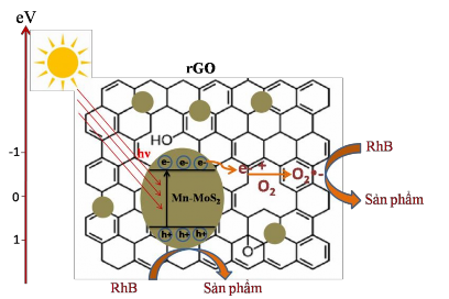 Hình 3 50 Mô hình cơ chế của quá trình quang xúc tác phân hủy RhB dưới vùng 6