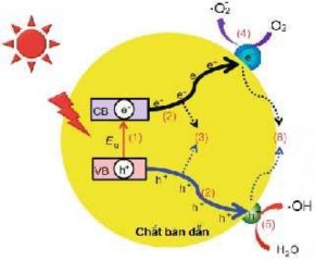 Hình 1 1 Cơ chế xúc tác quang của chất bán dẫn 10 Các electron lỗ trống 1