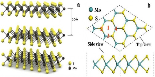 Hình 1 3 a Cấu trúc không gian 3 chiều của MoS 2 và b Cấu trúc MoS 2 đơn lớp 3