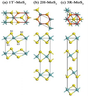 Hình 1 4 Mô hình cấu trúc đa tinh thể của MoS 2 22 Trong pha 1T sáu nguyên tử S 4