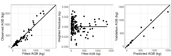 Dipterocarpus AGB a×D b 3