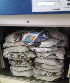 175 0 348 3 96 Igneous Rocks 25 5 1600 Phụ lục 9 Một số hình ảnh nghiên cứu 11