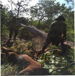 175 0 348 3 96 Igneous Rocks 25 5 1600 Phụ lục 9 Một số hình ảnh nghiên cứu 2