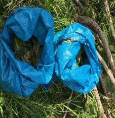 175 0 348 3 96 Igneous Rocks 25 5 1600 Phụ lục 9 Một số hình ảnh nghiên cứu 6