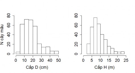 Hình 2 2 Phân bố đường kính D cm bên trái dưới và chiều cao H m 2