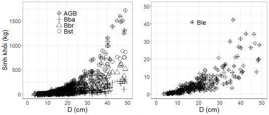 Hình 2 3 Phân bố sinh khối thân cây Bst kg cành Bbr kg lá Ble kg 18