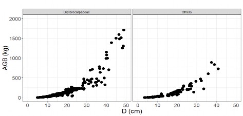 Hình 2 4 Quan hệ AGB theo D theo hệ thống phân loại thực vật ưu thế rừng 19