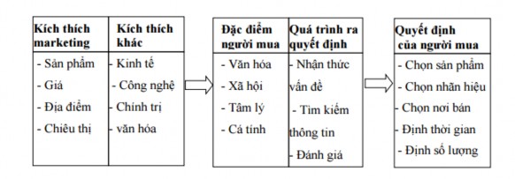 Nguồn Philip Kotler 2003 trang 198 Hình 2 1 Mô hình hành vi của người tiêu dùng 1