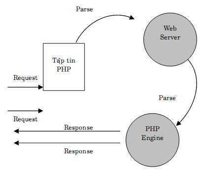 Hình 2 1 Quá trình thông dịch trang PHP Dùng một chương trình soạn thảo văn bản 3