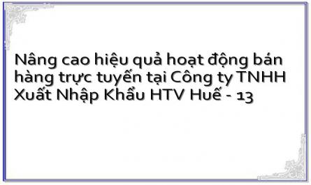 Nâng cao hiệu quả hoạt động bán hàng trực tuyến tại Công ty TNHH Xuất Nhập Khẩu HTV Huế - 13