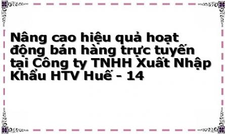 Nâng cao hiệu quả hoạt động bán hàng trực tuyến tại Công ty TNHH Xuất Nhập Khẩu HTV Huế - 14