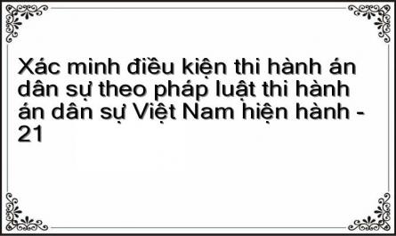 Xác minh điều kiện thi hành án dân sự theo pháp luật thi hành án dân sự Việt Nam hiện hành - 21
