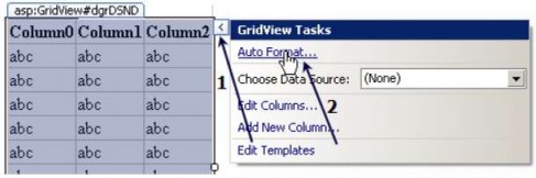 Hình 4 13 Chọn định dạng cho Grodview Chọn Format trong danh sách Sau khi chọn 1
