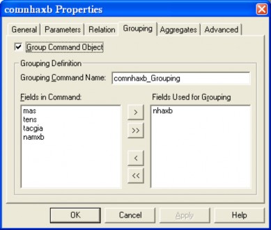 Bước 3 Nhấn nút OK để đóng hộp thoại Cửa sổ DataEnvironment1 bây giờ như 1