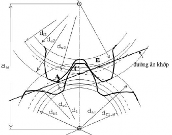 của mặt nón chia Hình 5 5 Răng bánh răng Hình 5 4 Bộ truyền bánh răng ăn khớp 5