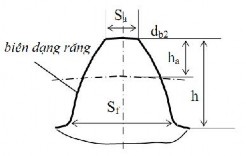 Hình 5 5 Răng bánh răng Hình 5 4 Bộ truyền bánh răng ăn khớp ngoài Hình 5 6 Bộ 6